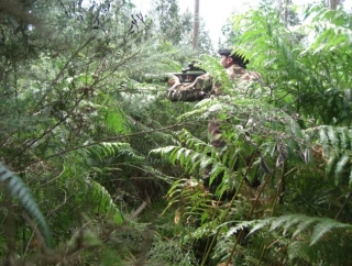 Totalmente camuflado